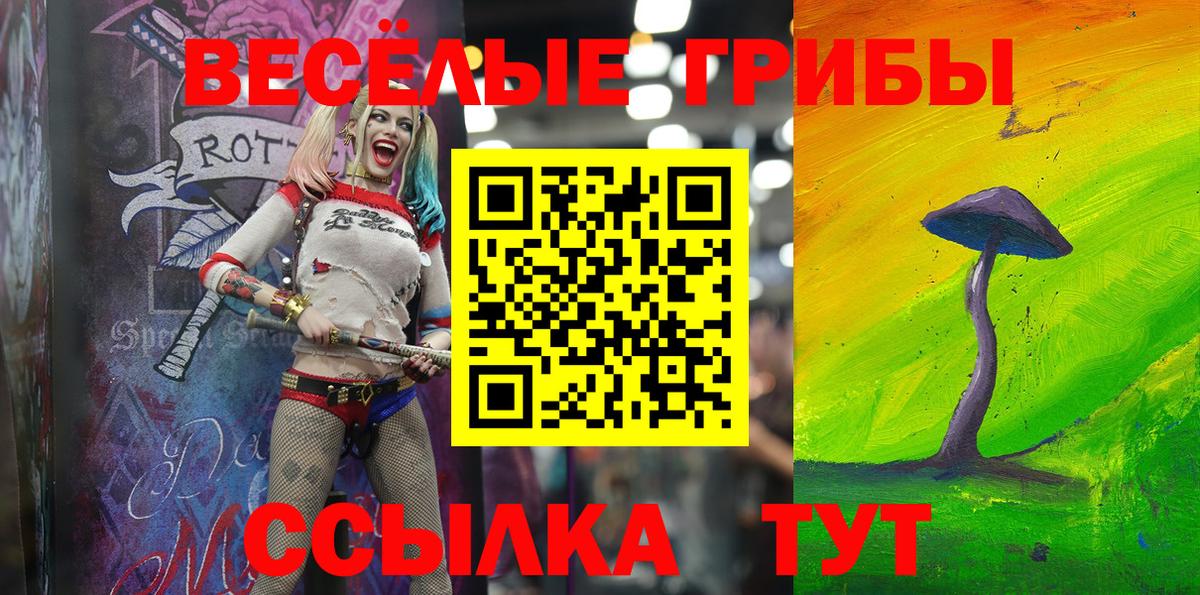 Осинники  купить  цена  Вход с VPN  Галлюциногенные грибы мухоморы 